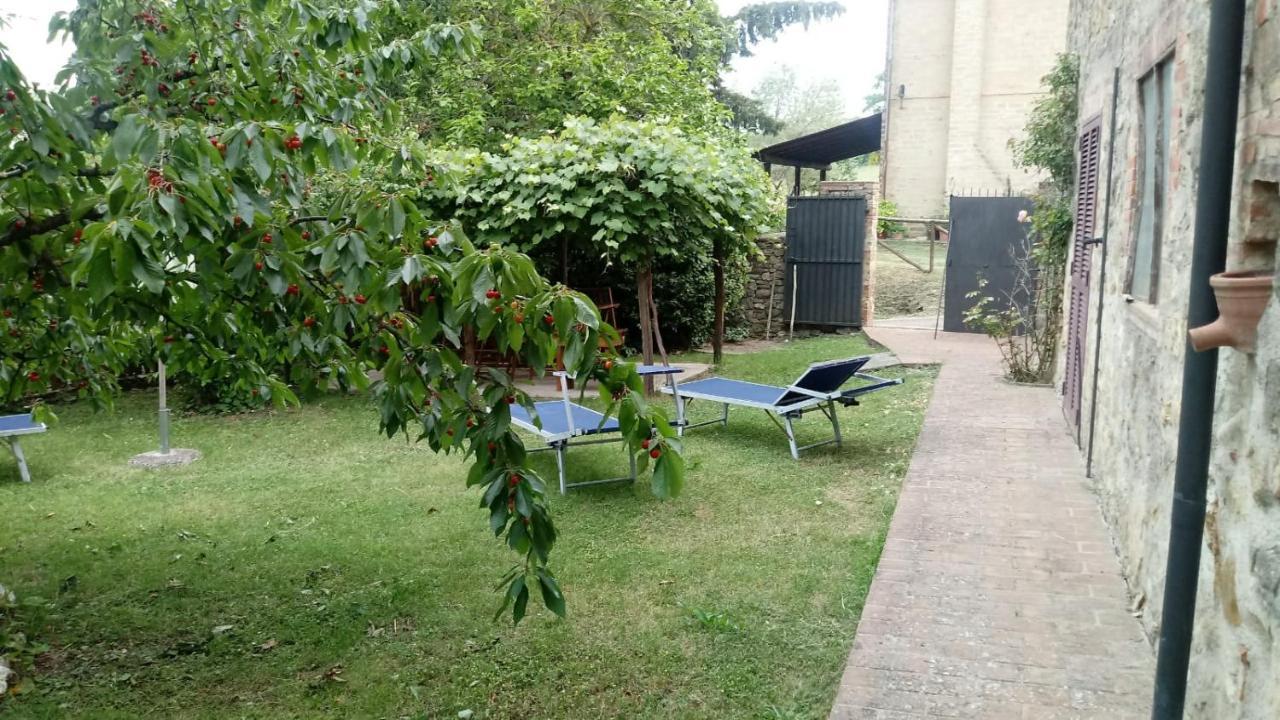 Agriturismo Bellavista Radicondoli ภายนอก รูปภาพ