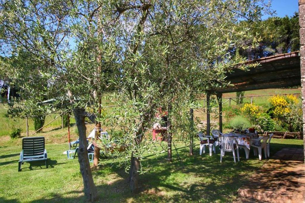 Agriturismo Bellavista Radicondoli ภายนอก รูปภาพ
